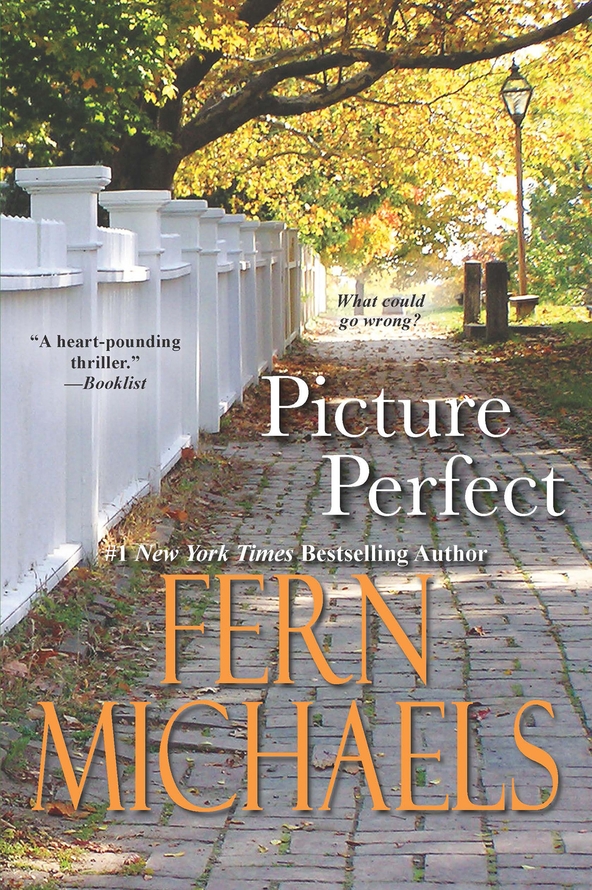 Picture Perfect (2014) by Fern Michaels