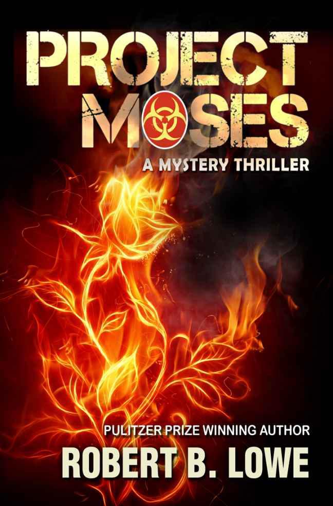 Project Moses - A Mystery Thriller (Enzo Lee Mystery-Thriller Series)