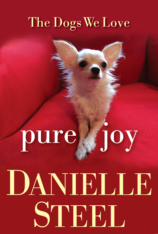 Pure Joy (2013) by Danielle Steel