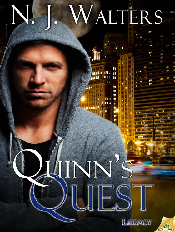 Quinn's Quest: Legacy, Book 4 (2012) by N.J. Walters