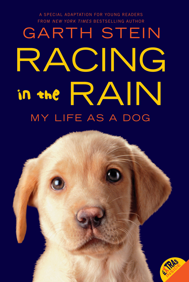 Racing in the Rain by Garth Stein