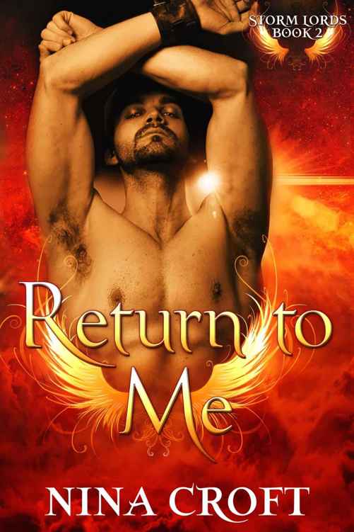 Return to Me (Storm Lords) (2015) by Nina Croft