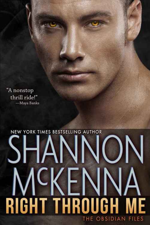 Right Through Me (The Obsidian Files #1) by Shannon McKenna