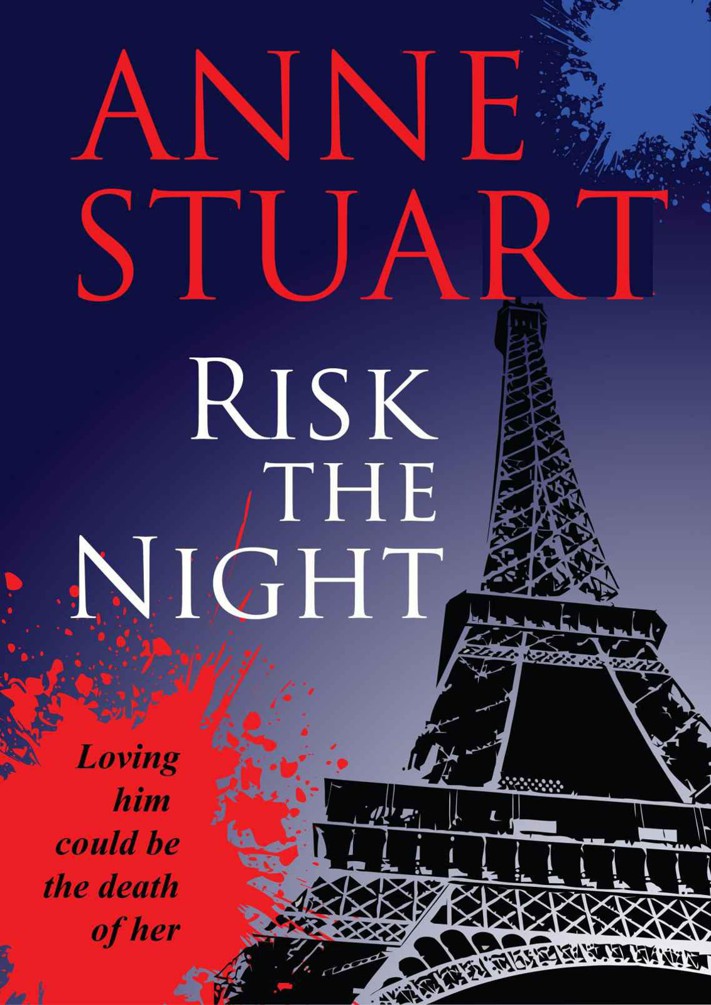 Risk the Night by Anne Stuart