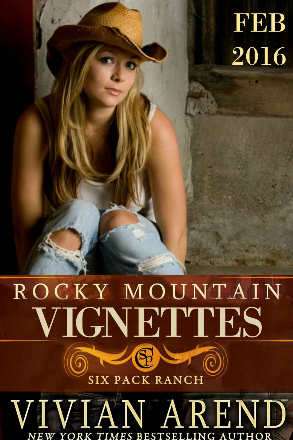 Rocky Mountain Vignettes (Six Pack Ranch) by Vivian Arend