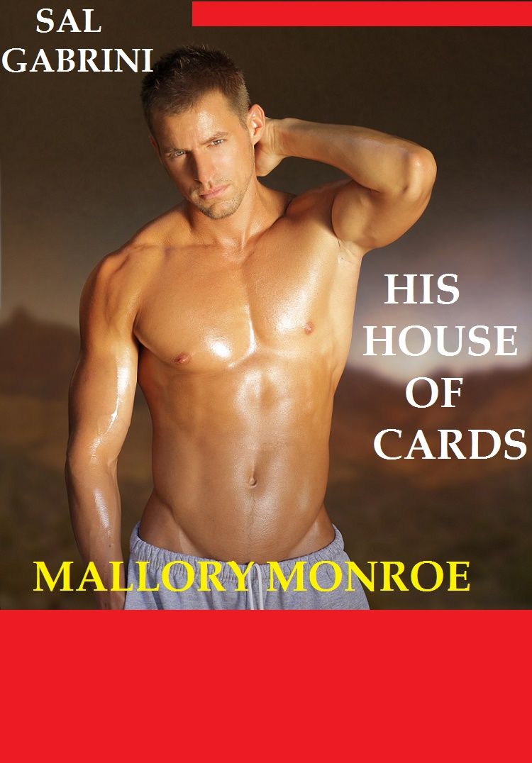 Sal Gabrini: His House of Cards by Mallory Monroe