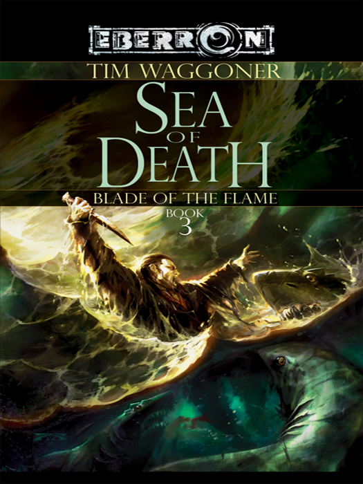 Sea of Death: Blade of the Flame - Book 3 (2008) by Tim Waggoner