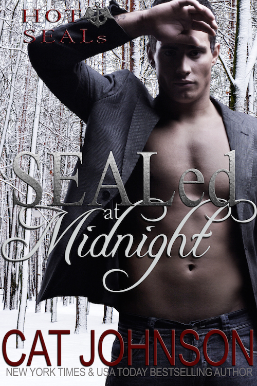 SEALed at Midnight (2014) by Cat Johnson