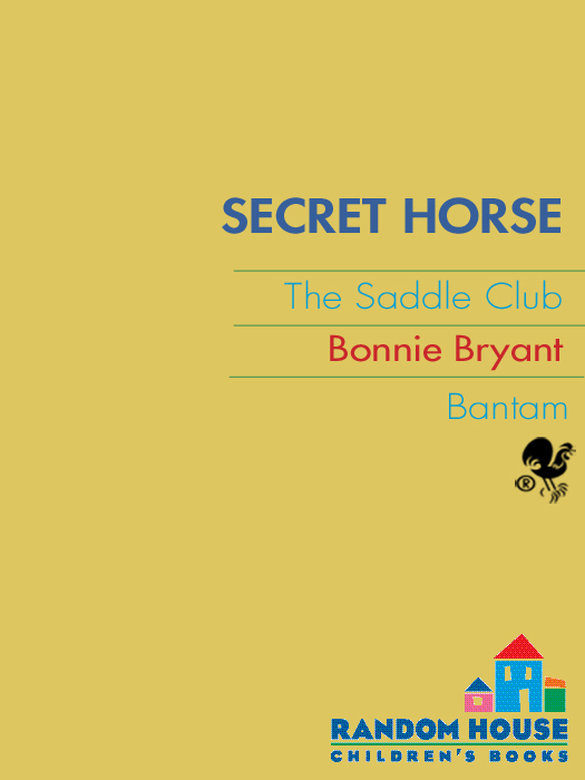 Secret Horse (2013) by Bonnie Bryant