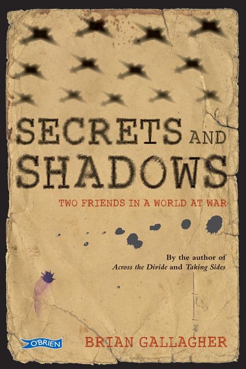 Secrets and Shadows (2012) by Brian Gallagher