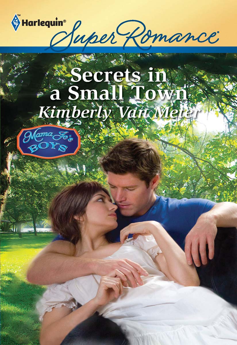 Secrets in a Small Town by Kimberly Van Meter
