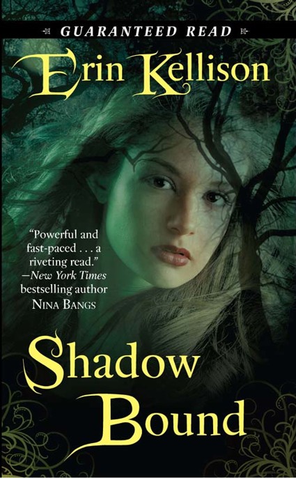 Shadow Bound by Erin Kellison