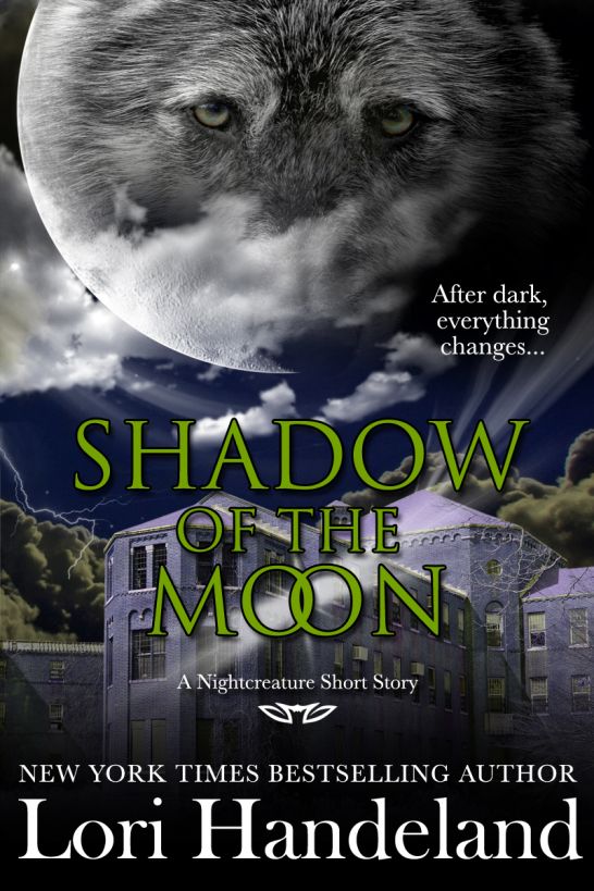 Shadow of the Moon by Lori Handeland