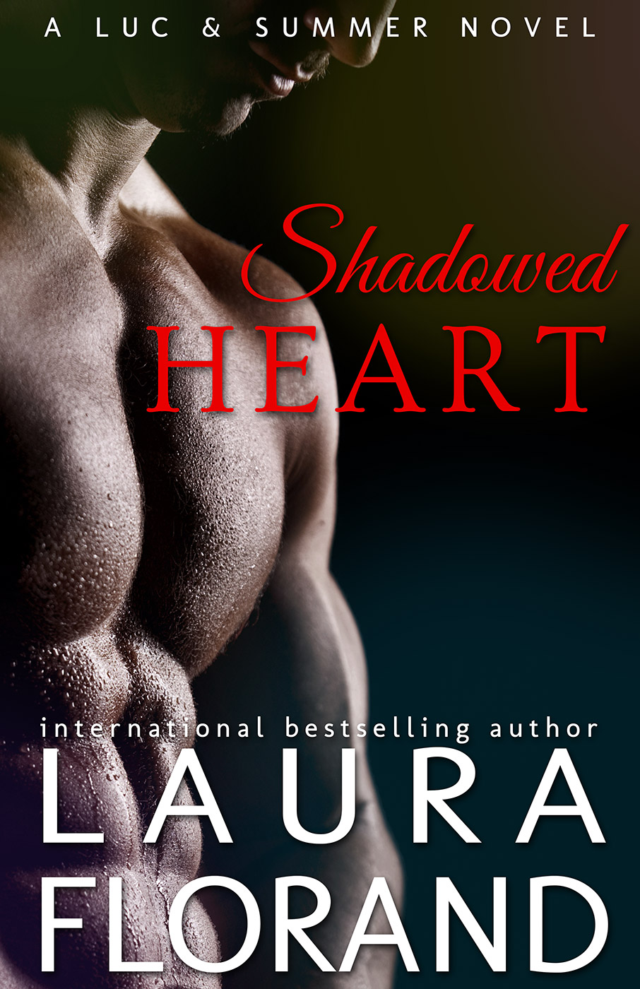 Shadowed Heart (2014) by Laura Florand