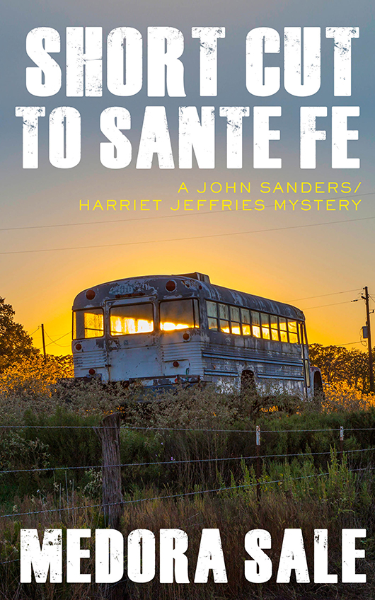 Short Cut to Santa Fe (2015) by Medora Sale