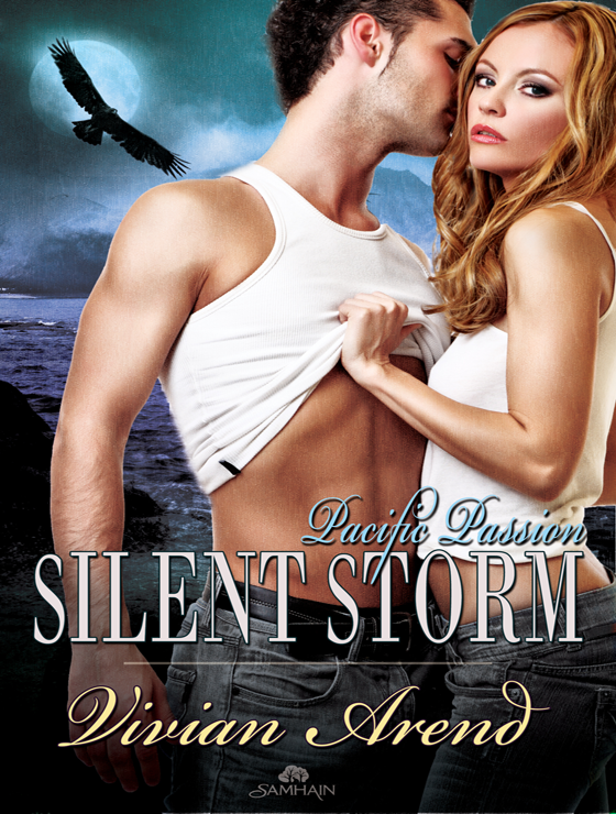 Silent Storm (2011) by Vivian Arend