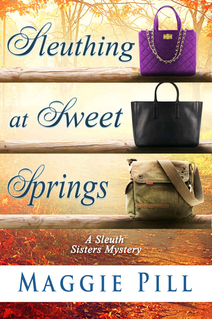 Sleuthing at Sweet Springs (The Sleuth Sisters Mysteries Book 4)