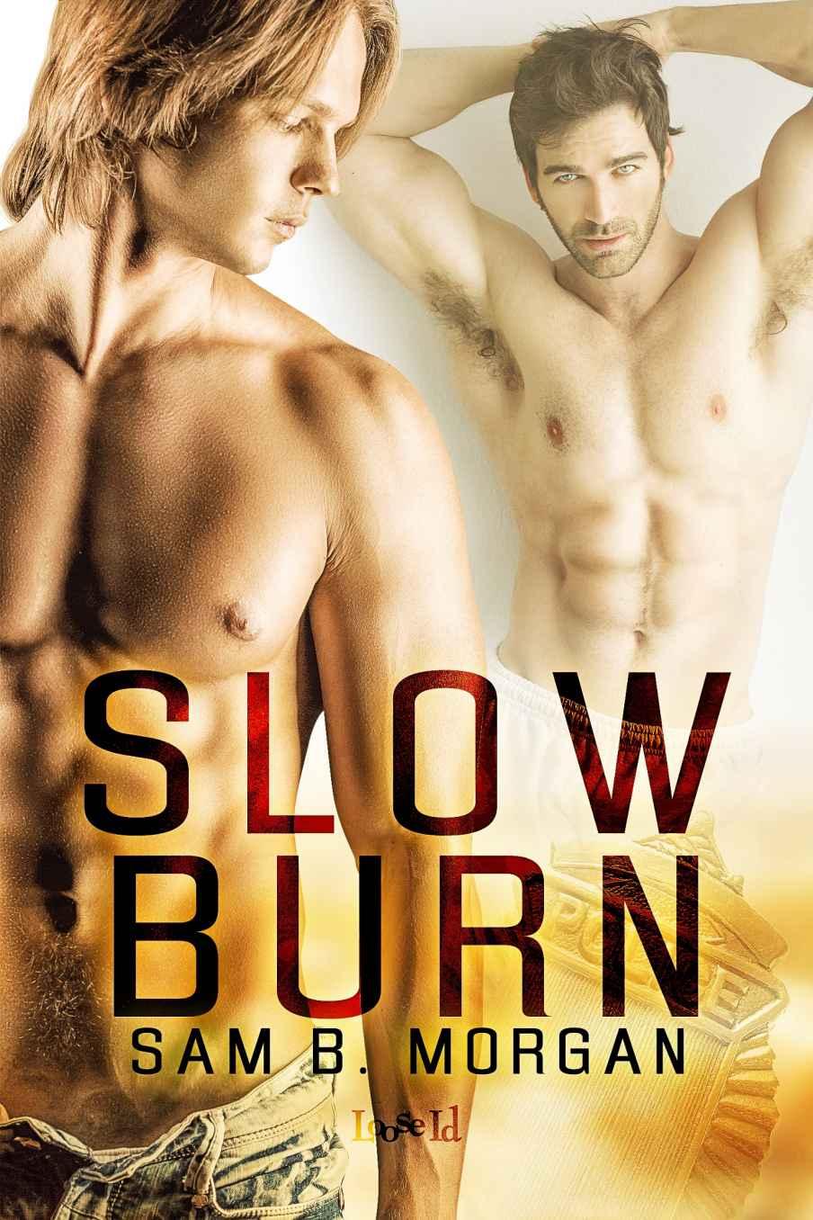 Slow Burn (MM) by Sam B. Morgan