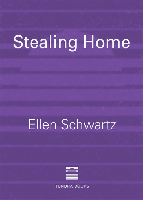 Stealing Home (2006) by Ellen Schwartz
