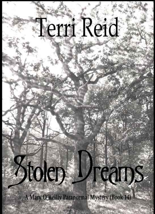 Stolen Dreams by Terri Reid