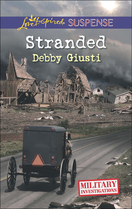 Stranded (2014) by Debby Giusti