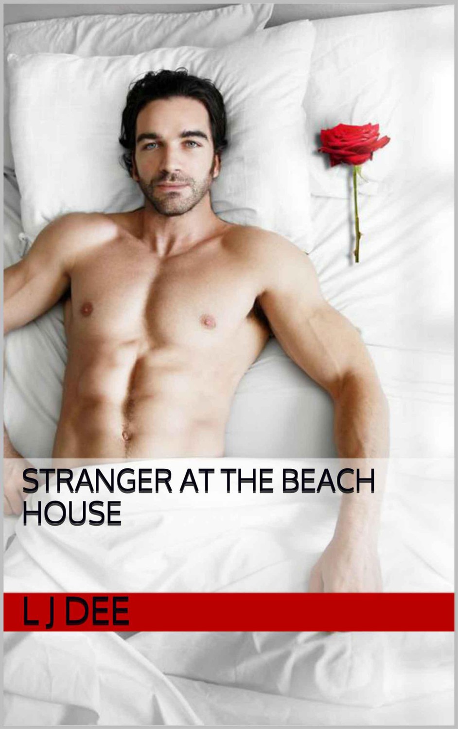 Stranger at the beach house by Dee, L J
