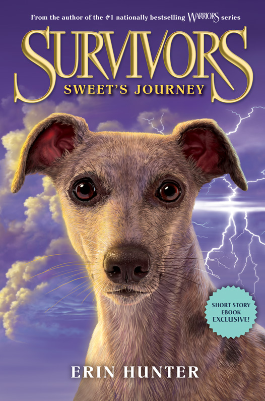 Sweet's Journey by Erin Hunter