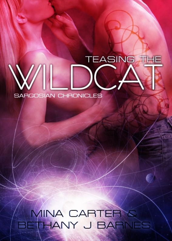 Teasing the Wildcat by Mina Carter & Bethany J. Barnes