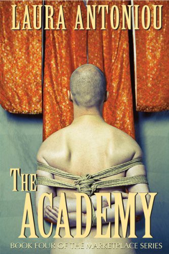 The Academy by Laura Antoniou