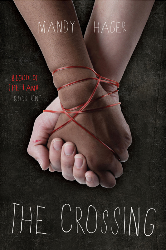 The Crossing (2013) by Mandy Hager