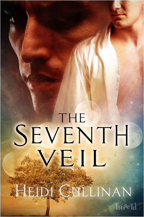The Etsey Series 1: The Seventh Veil by Heidi Cullinan