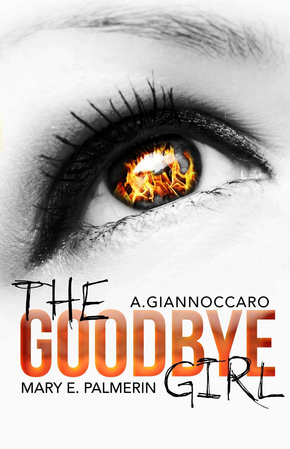 The Goodbye Girl (Red Market Series Book 2)