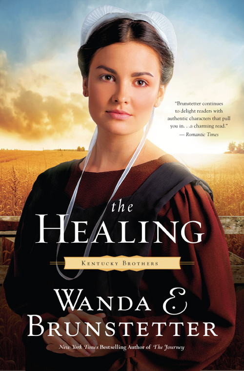 The Healing (2011) by Wanda E. Brunstetter