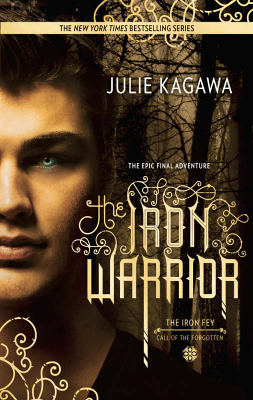 The Iron Warrior (2015) by Julie Kagawa
