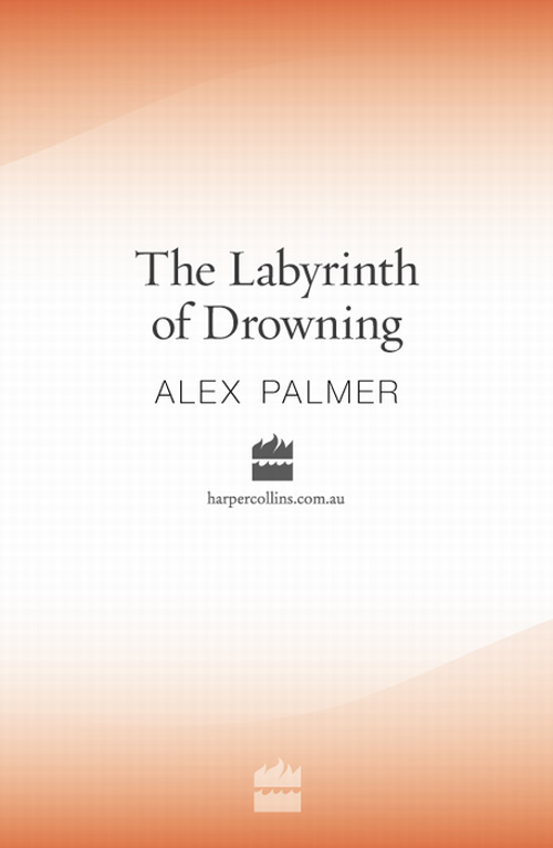 The Labyrinth of Drowning by Alex Palmer