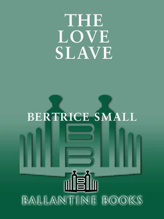 The Love Slave (2011) by Bertrice Small