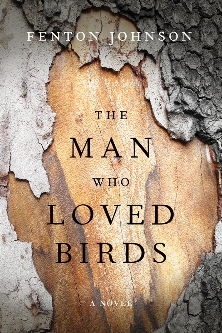 The Man Who Loved Birds (2016) by Fenton Johnson