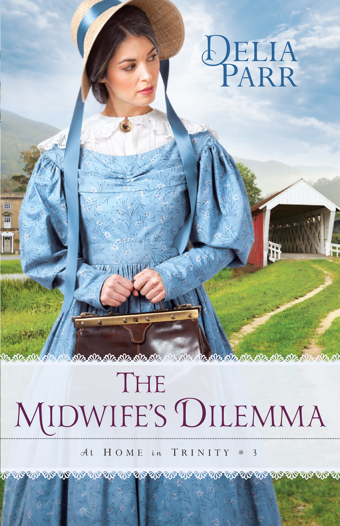The Midwife's Dilemma (2016) by Delia Parr
