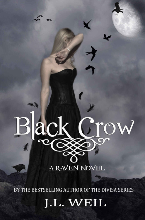 The Raven Series 2 by J.L. Weil