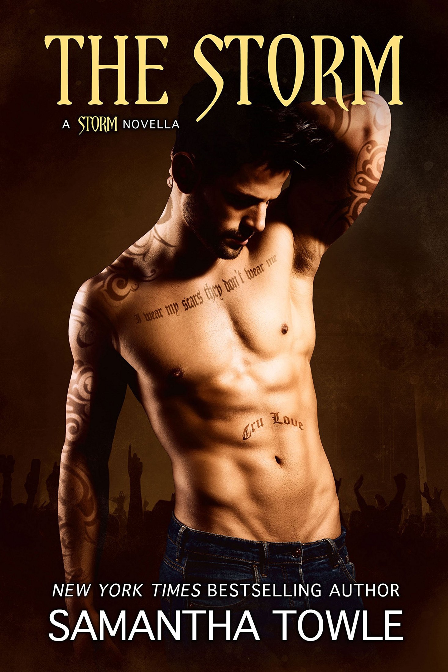 The Storm (The Storm #4) by Samantha Towle