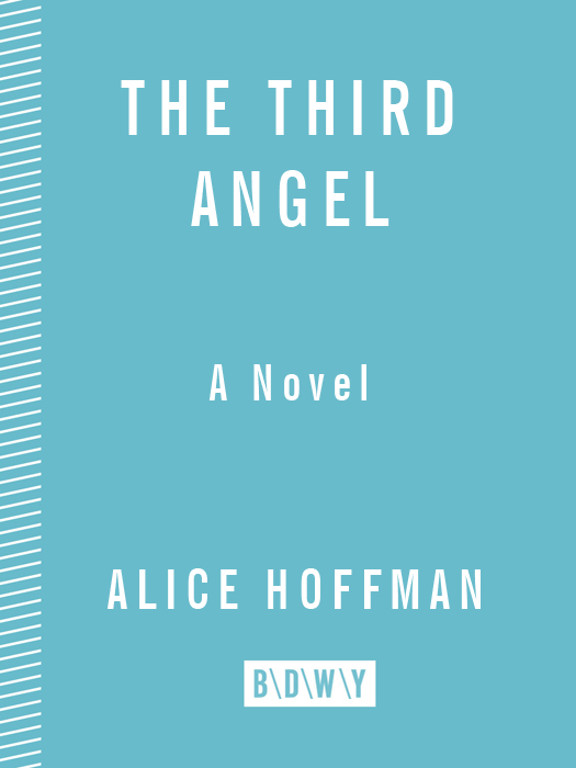 The Third Angel (2008) by Alice Hoffman