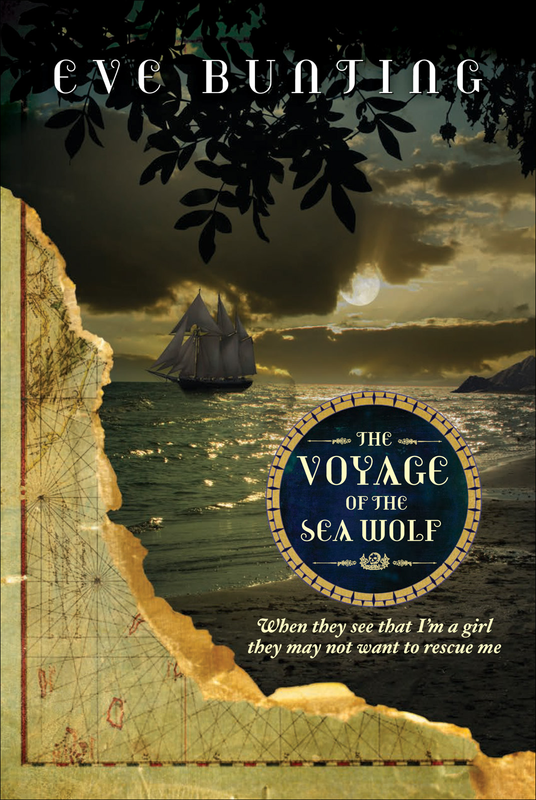 The Voyage of the Sea Wolf (2012)