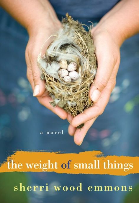 The Weight of Small Things by Sherri Wood Emmons
