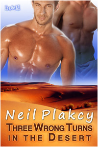 Three Wrong Turns in the Desert (2009) by Neil S. Plakcy