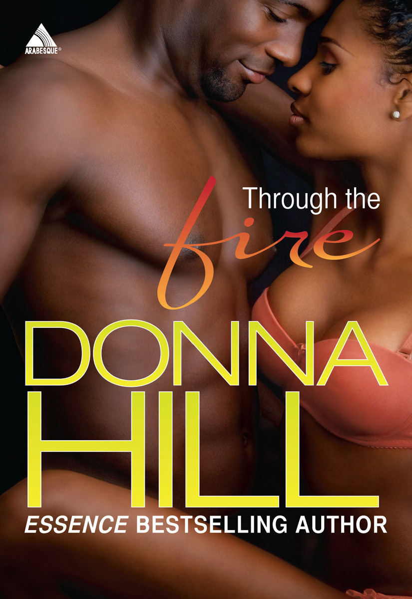 Through the Fire (2010) by Donna Hill