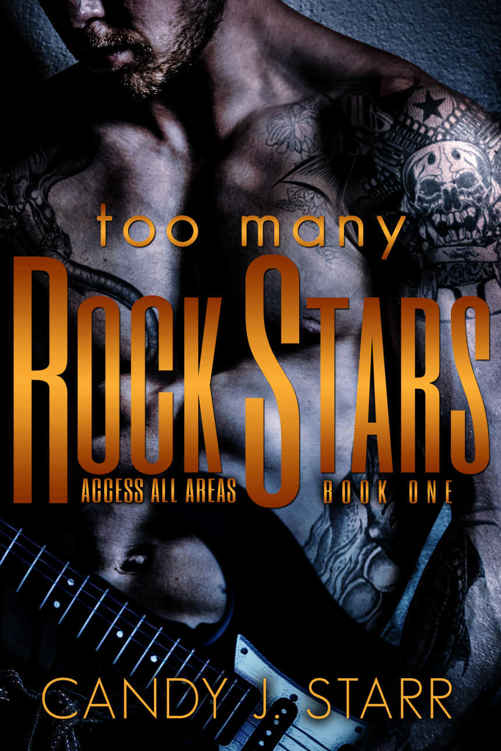 Too Many Rock Stars (Access All Areas #1) by Candy J. Starr