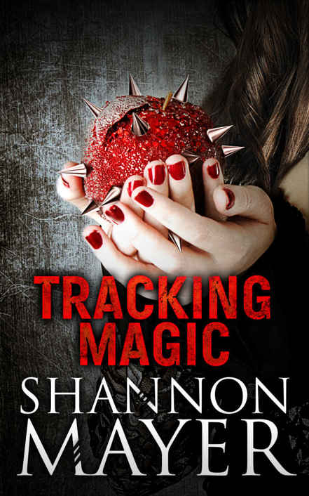 Tracking Magic: A Rylee Adamson Short Story