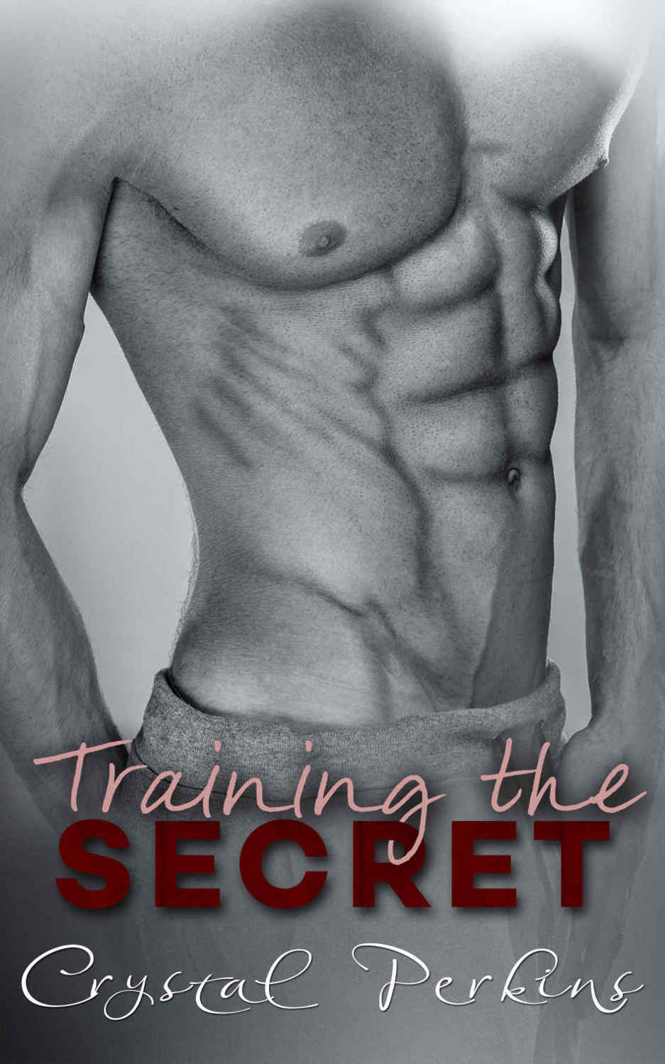 Training the SECRET (Corrigan & Co #6) by Crystal Perkins
