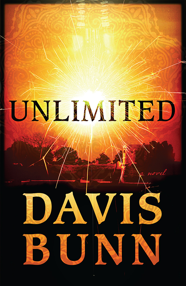 Unlimited (2013) by Davis Bunn