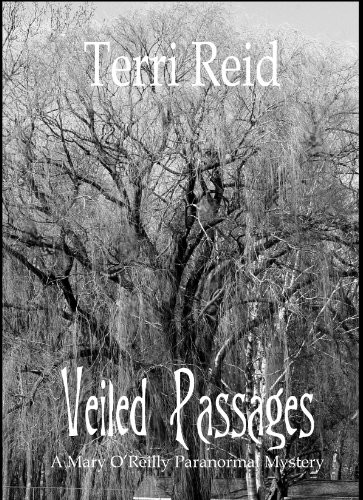 Veiled Passages by Terri Reid